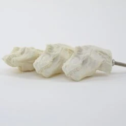 T-Rex Knob(T Rex Knob)