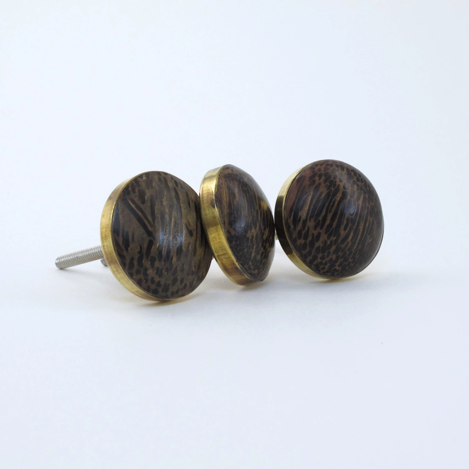 Bengal Knob(Bengal Knob) 6 Bengal Knob(Bengal Knob) - Image 4