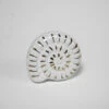 Nautilus Seashell Knob(Seashell Knob) 1 Nautilus Seashell Knob(Seashell Knob) -The Lamp Goods nautilus seashell knob knobs drawer cabinet knobs and pulls sku