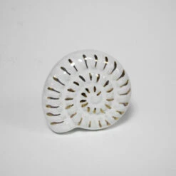 Nautilus Seashell Knob(Seashell Knob)