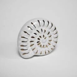 Nautilus Seashell Knob(Seashell Knob) -The Lamp Goods nautilus seashell knob knobs drawer cabinet knobs and pulls sku 3