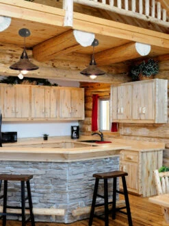 The Lamp Goods -The Lamp Goods rusticindustrialcabinpendantlightfixture