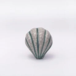 Seashell Knob - White Striped(Copy Of Seashell Knob White Striped)